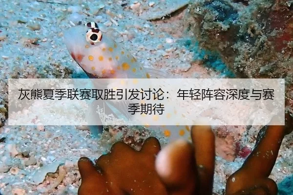 灰熊夏季联赛取胜引发讨论：年轻阵容深度与赛季期待